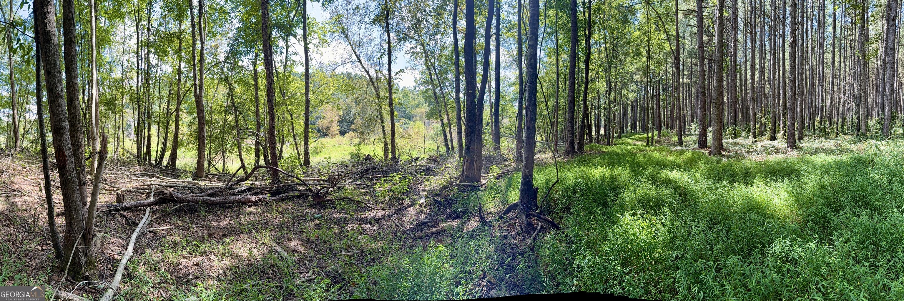 1102 Mitchell Road Property Photo 12