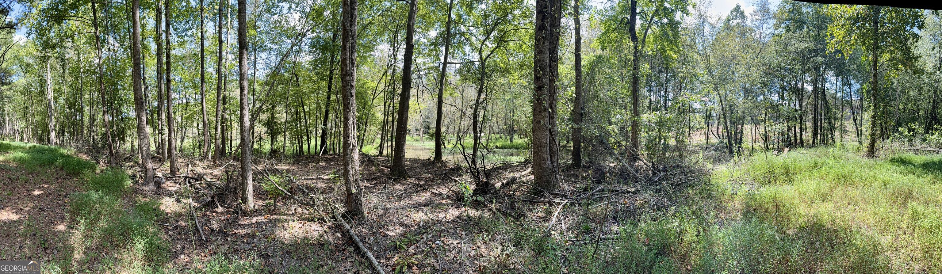 1102 Mitchell Road Property Photo 14