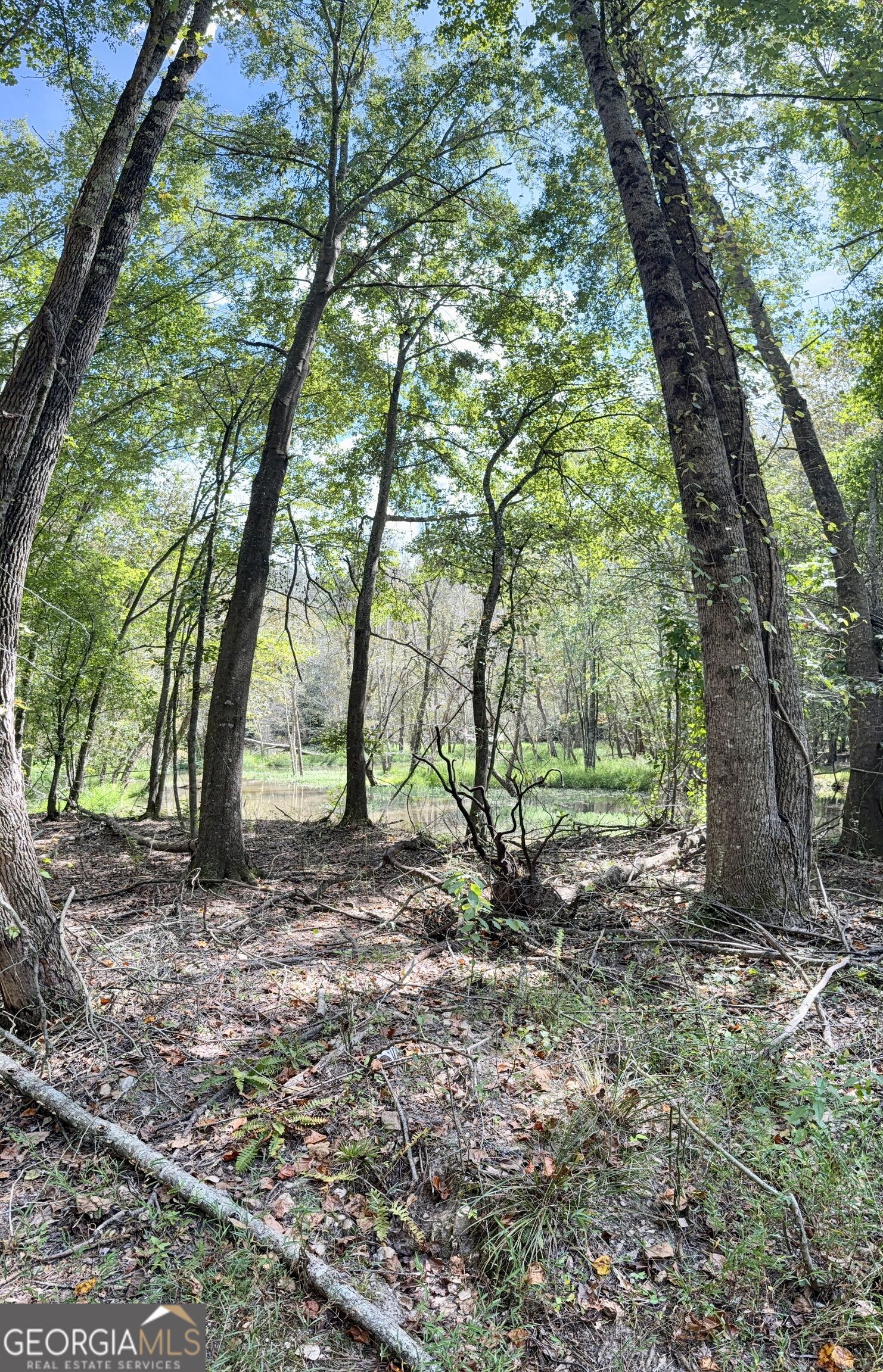 1102 Mitchell Road Property Photo 15