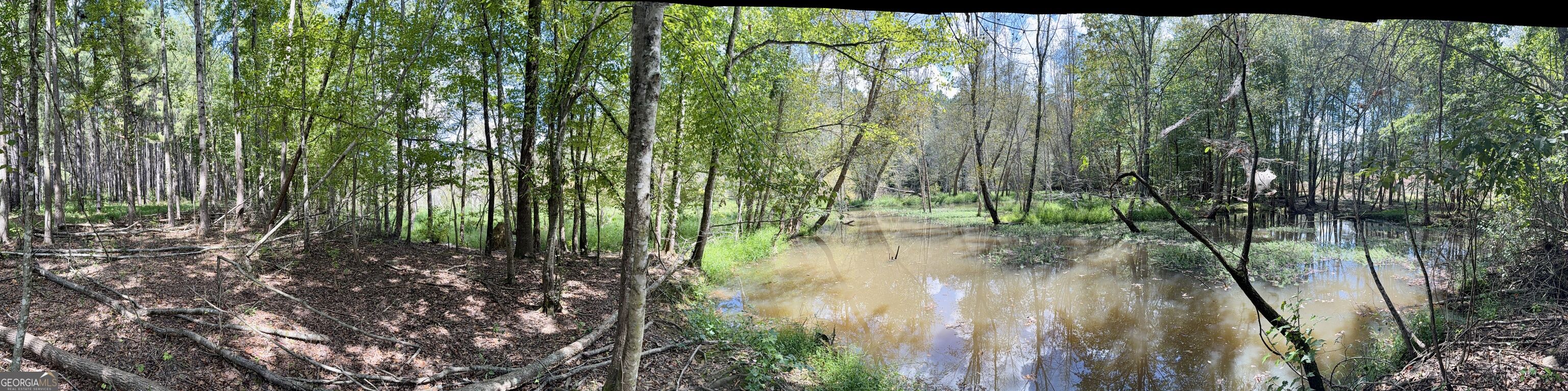 1102 Mitchell Road Property Photo 16