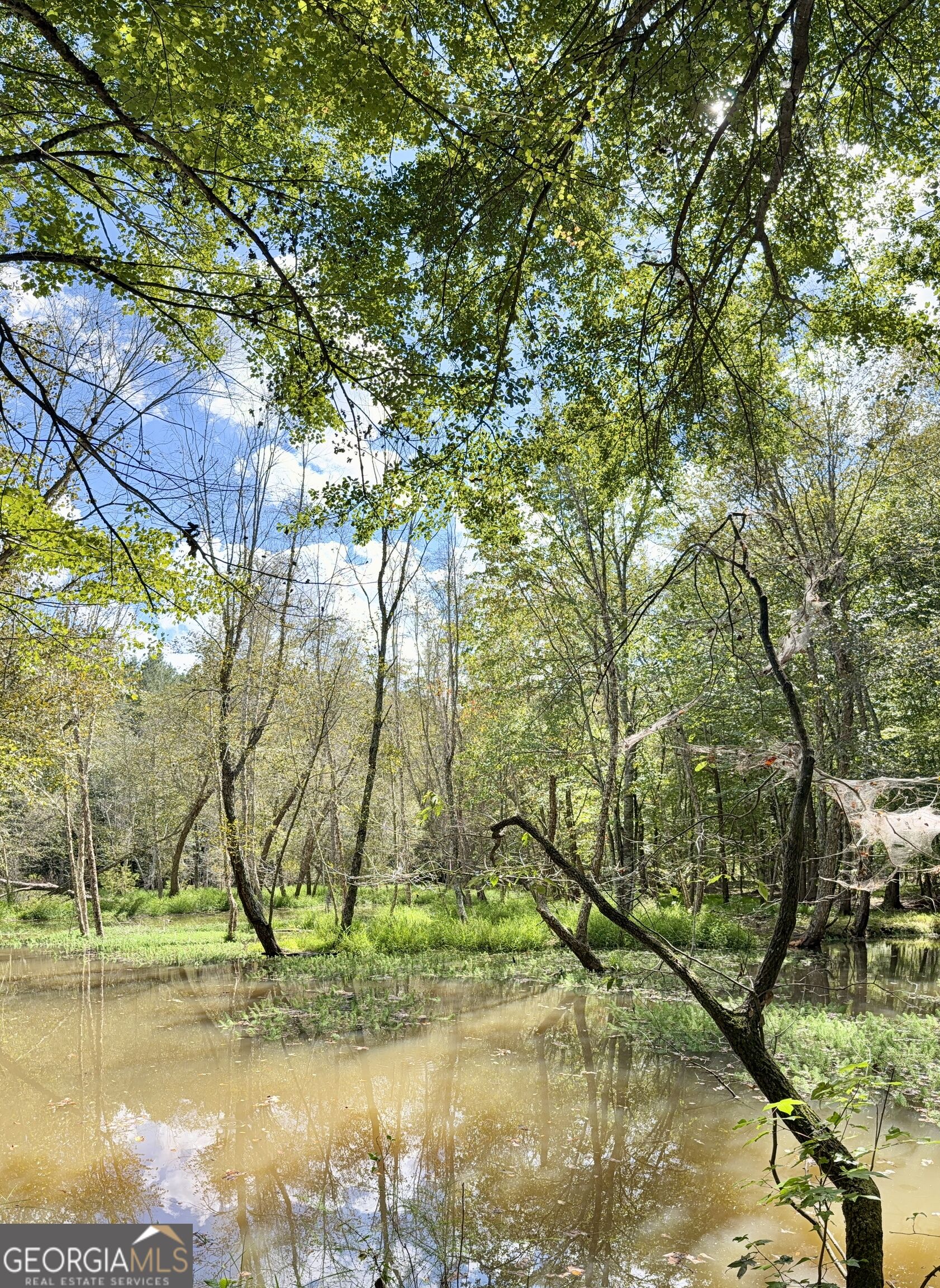 1102 Mitchell Road Property Photo 17