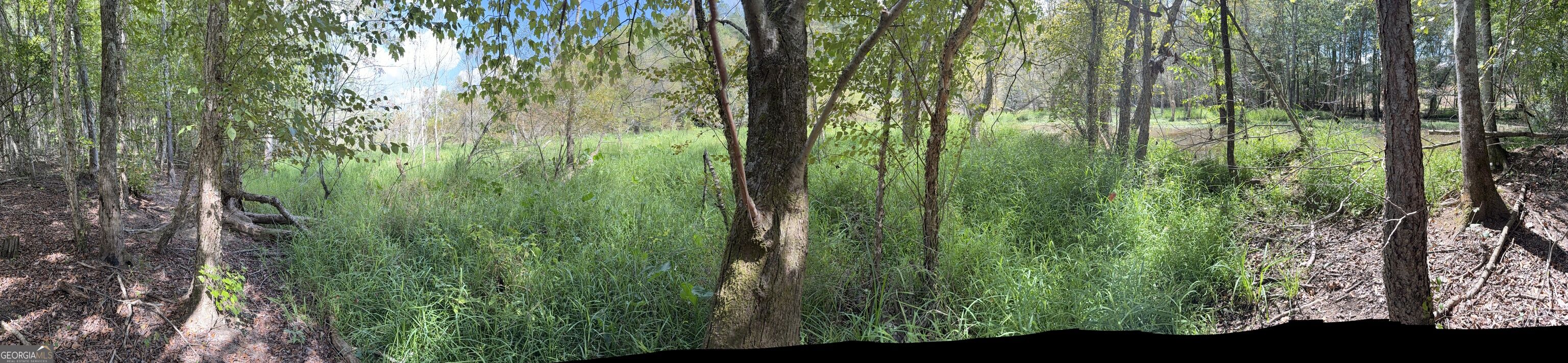 1102 Mitchell Road Property Photo 18