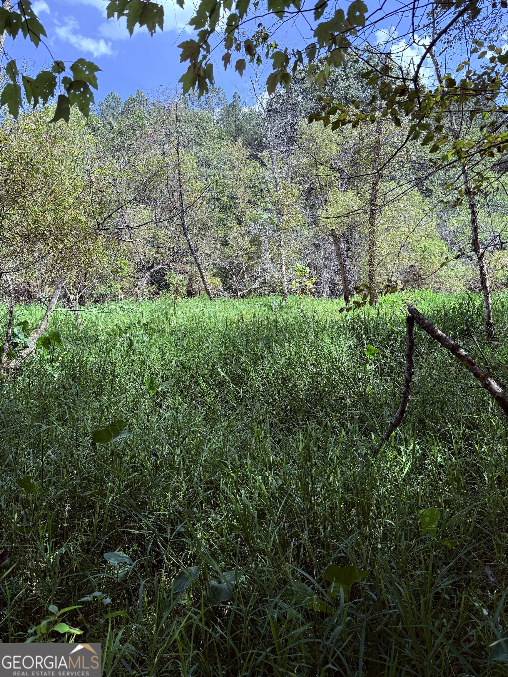 1102 Mitchell Road Property Photo 19