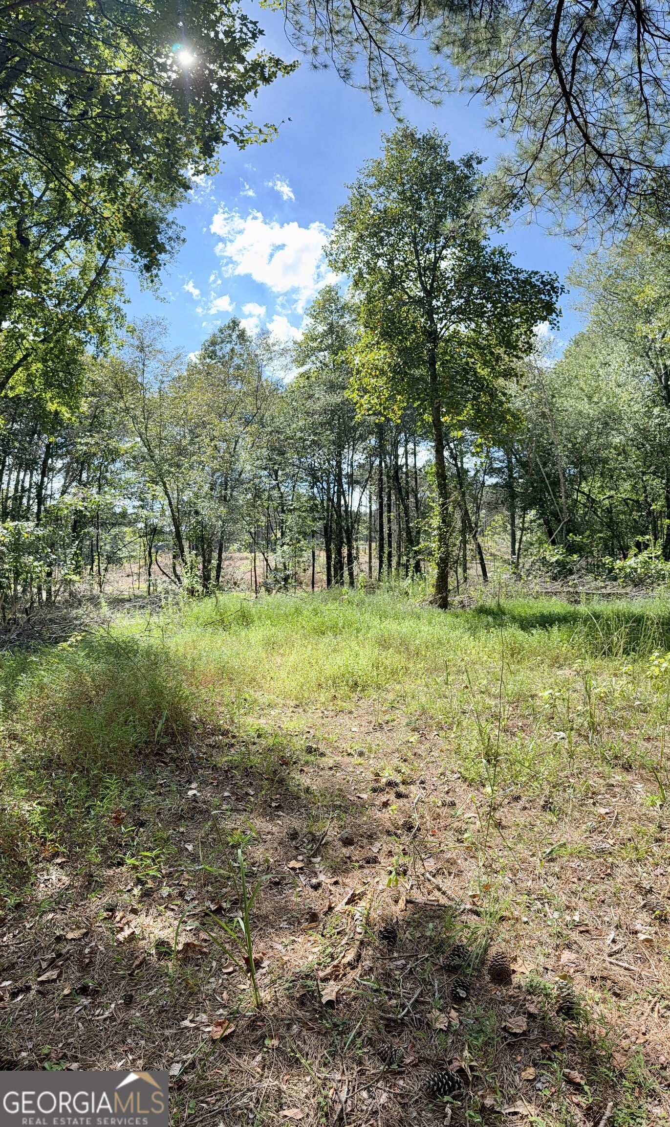 1102 Mitchell Road Property Photo 20