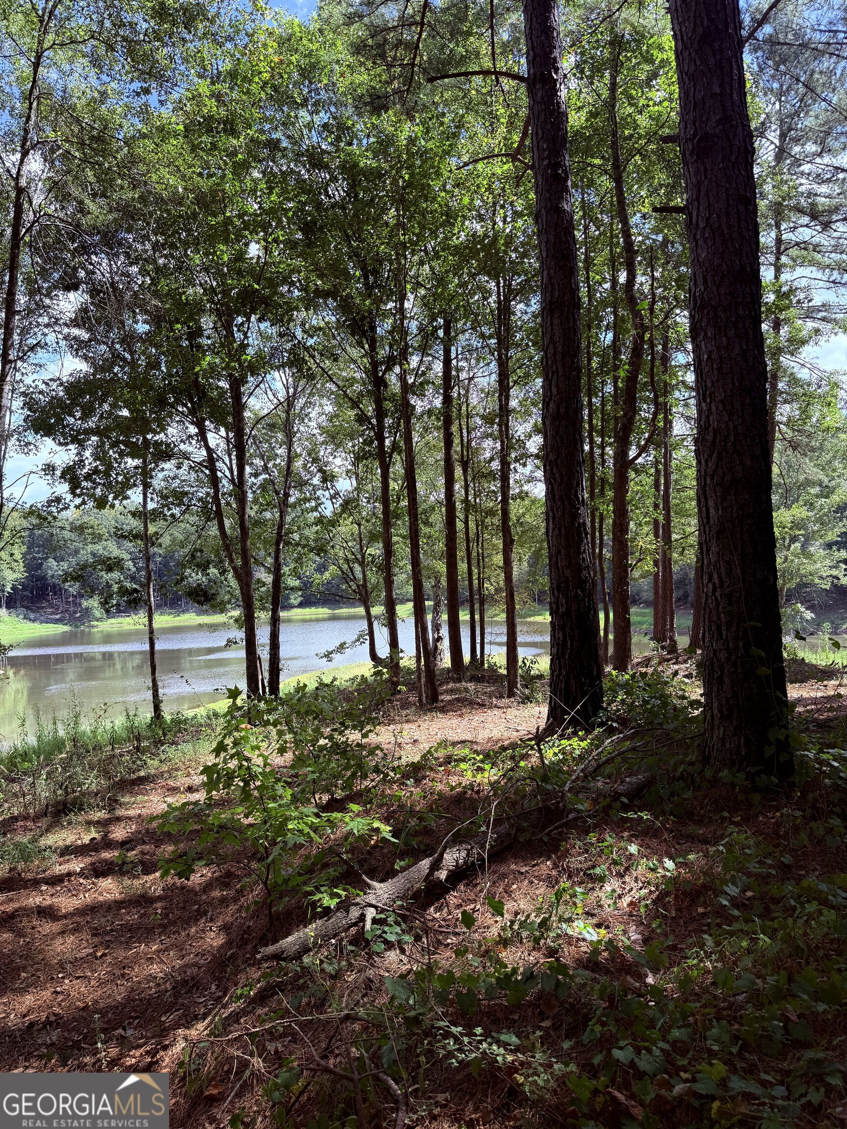 1102 Mitchell Road Property Photo 21