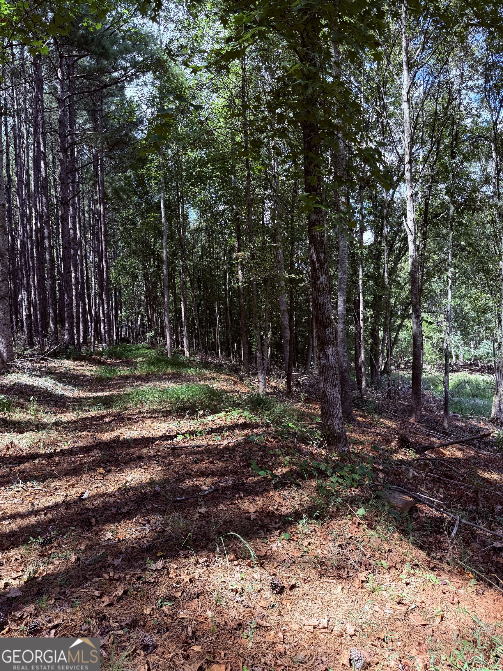 1102 Mitchell Road Property Photo 22