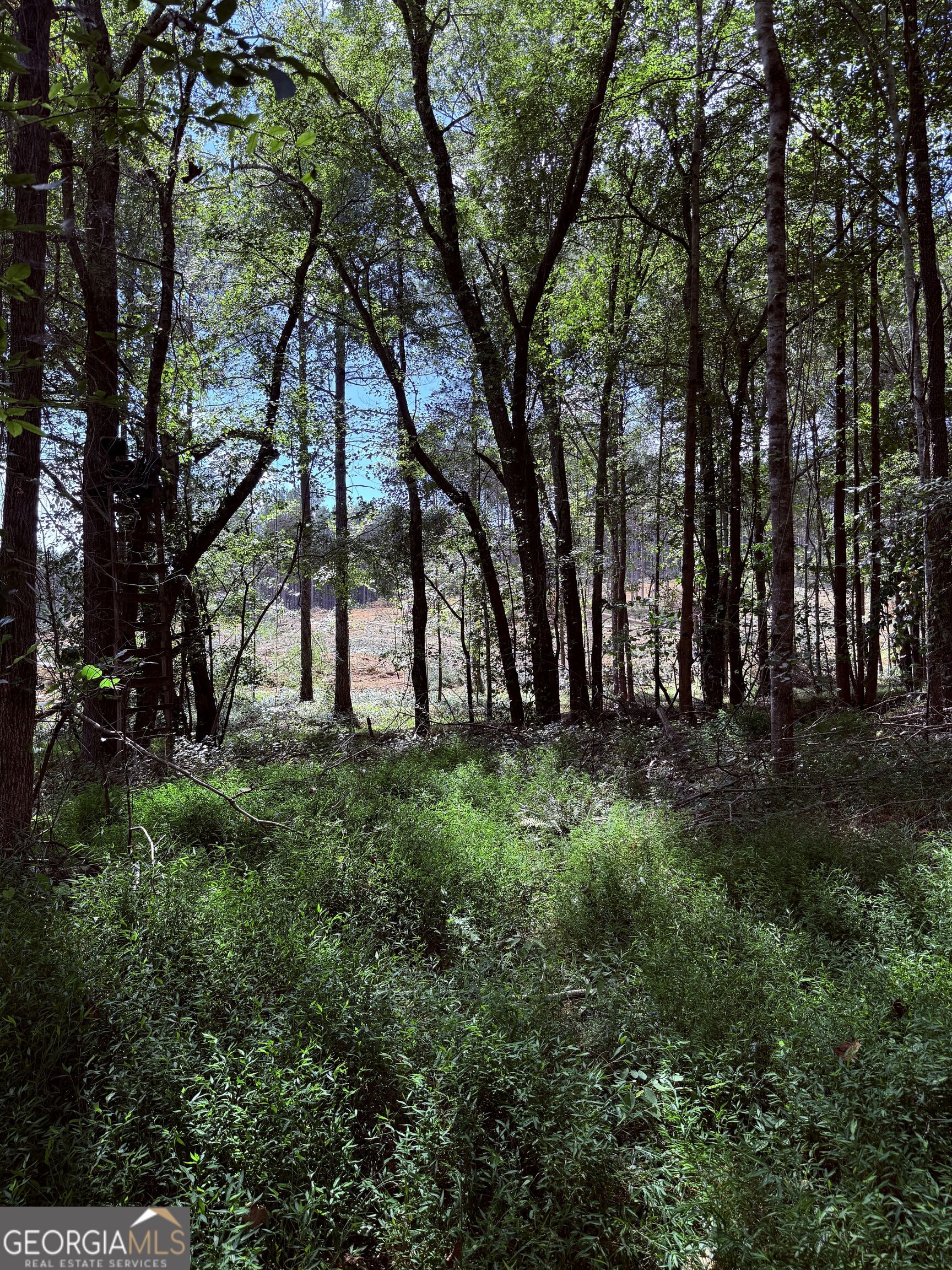 1102 Mitchell Road Property Photo 23