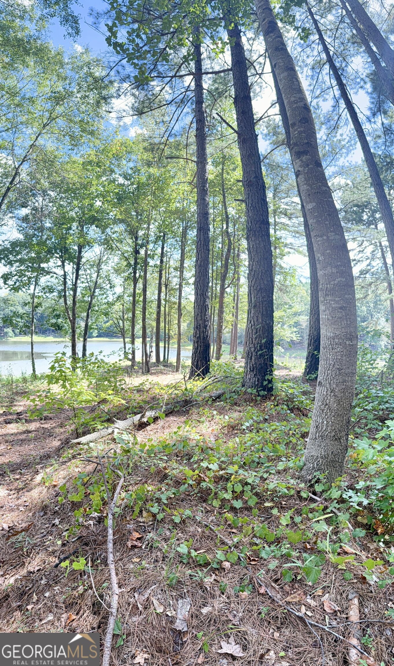 1102 Mitchell Road Property Photo 24