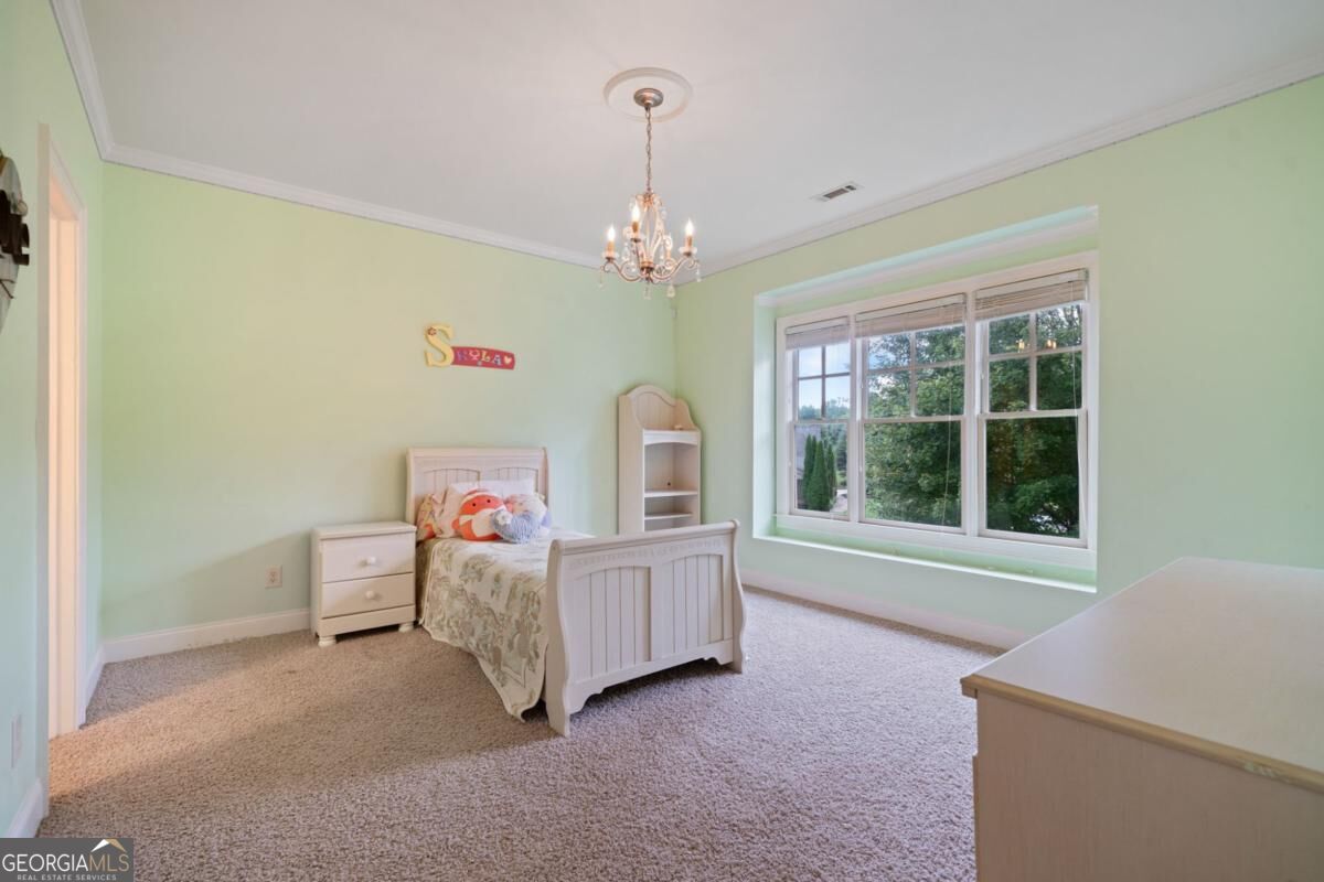 1750 Cone Flower Way Property Photo 33