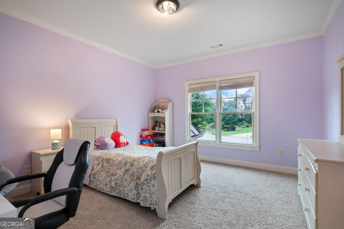 1750 Cone Flower Way Property Photo 36