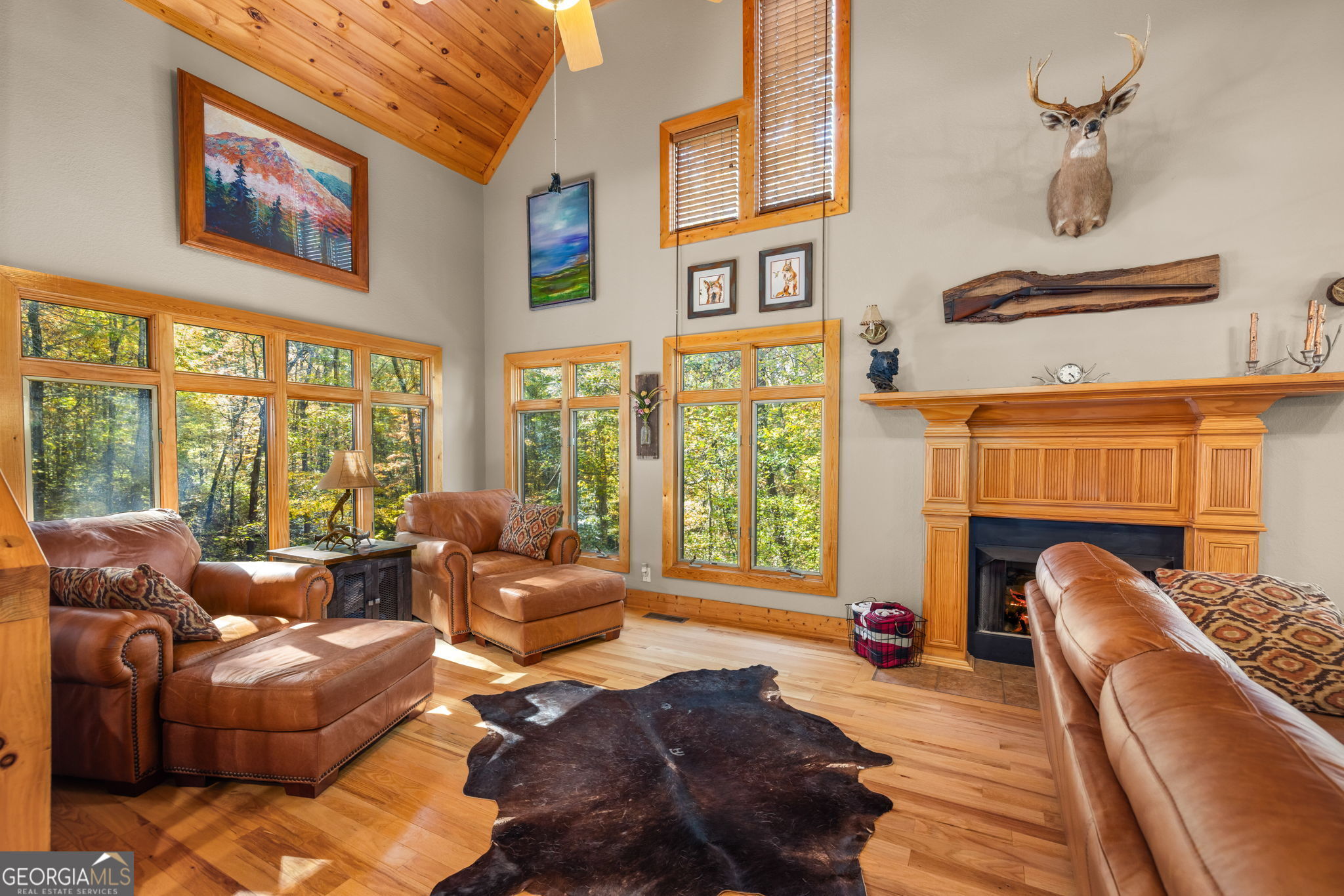 1010 Meadowview Ridge Property Photo 7