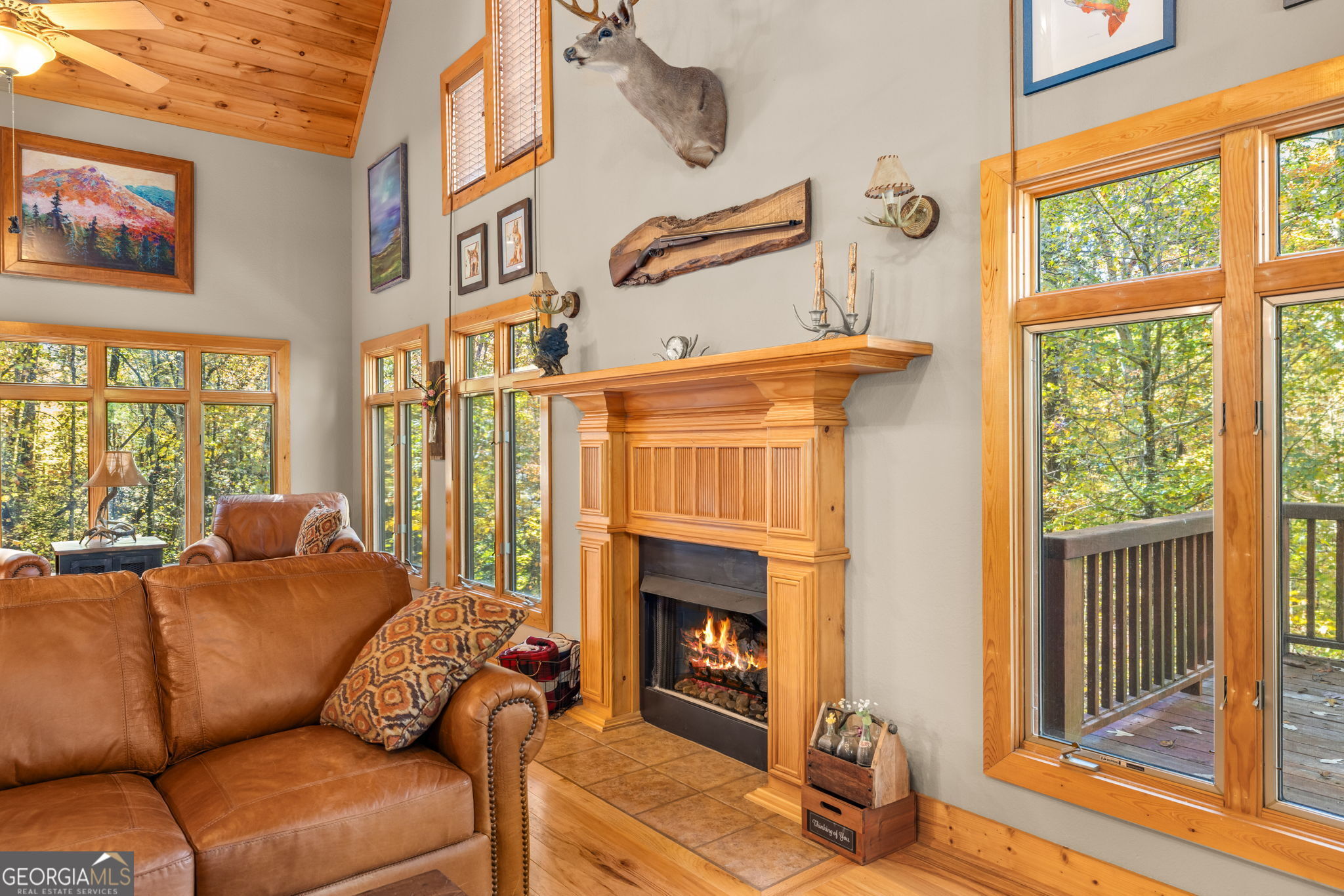 1010 Meadowview Ridge Property Photo 11