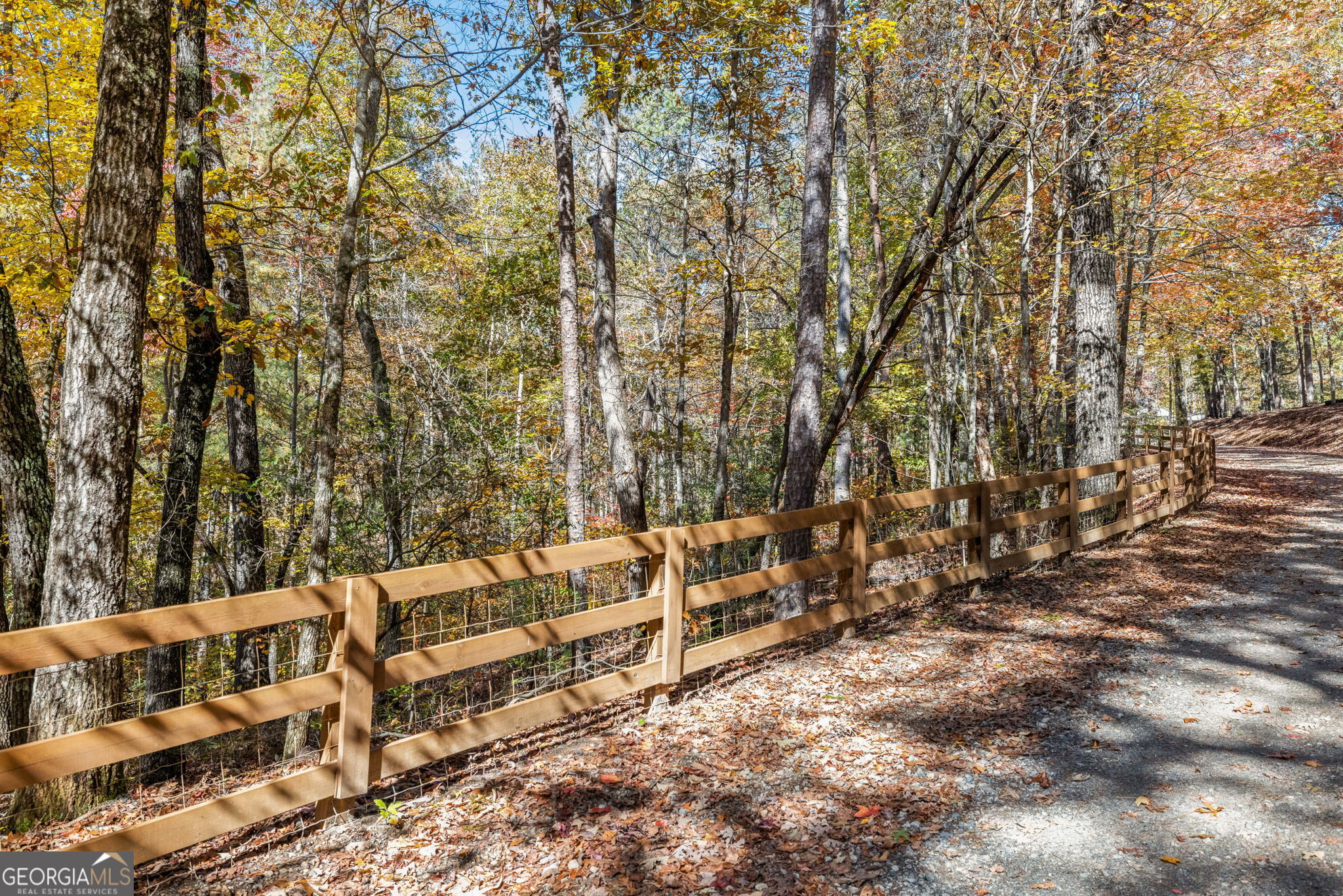 1010 Meadowview Ridge Property Photo 47