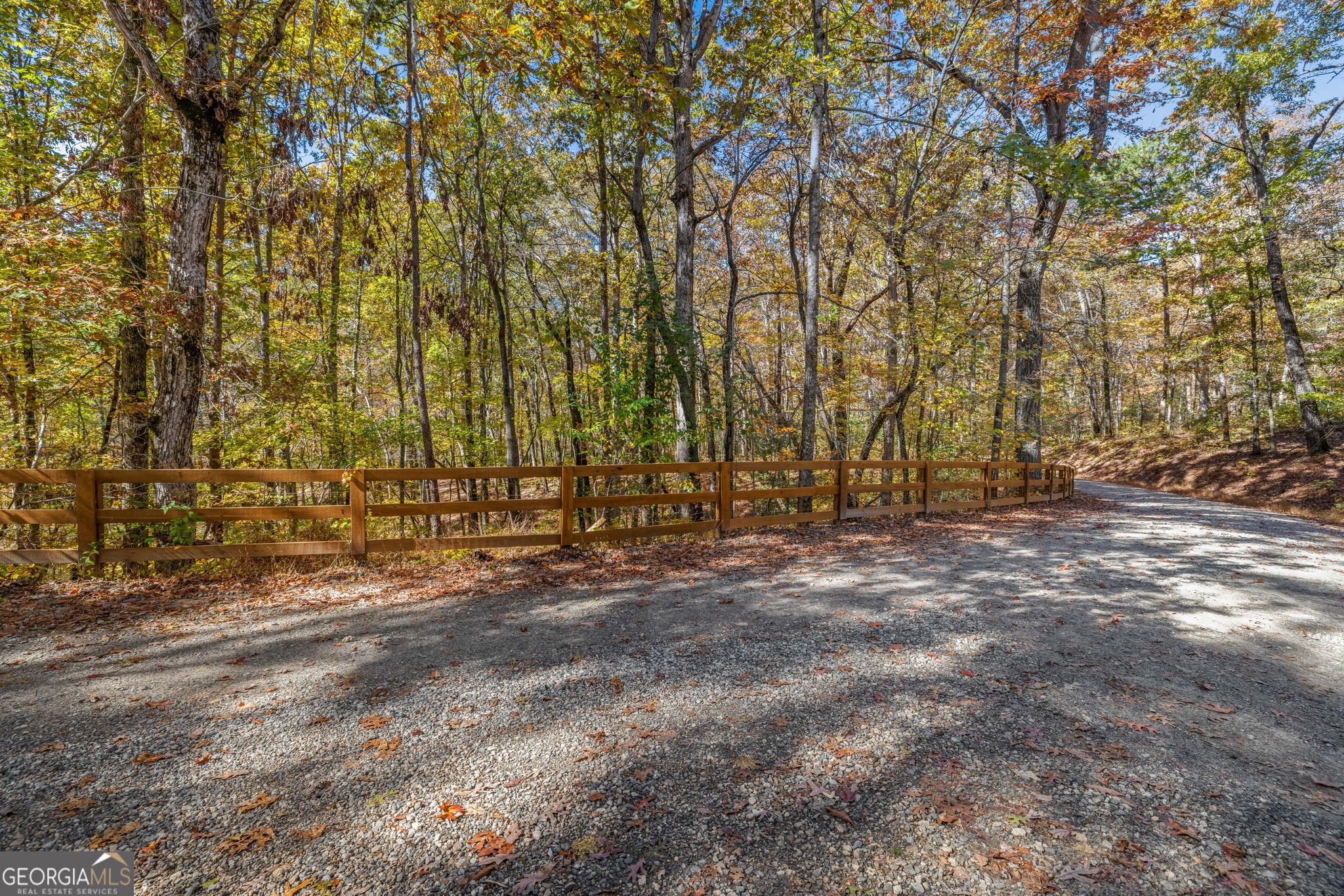 1010 Meadowview Ridge Property Photo 48