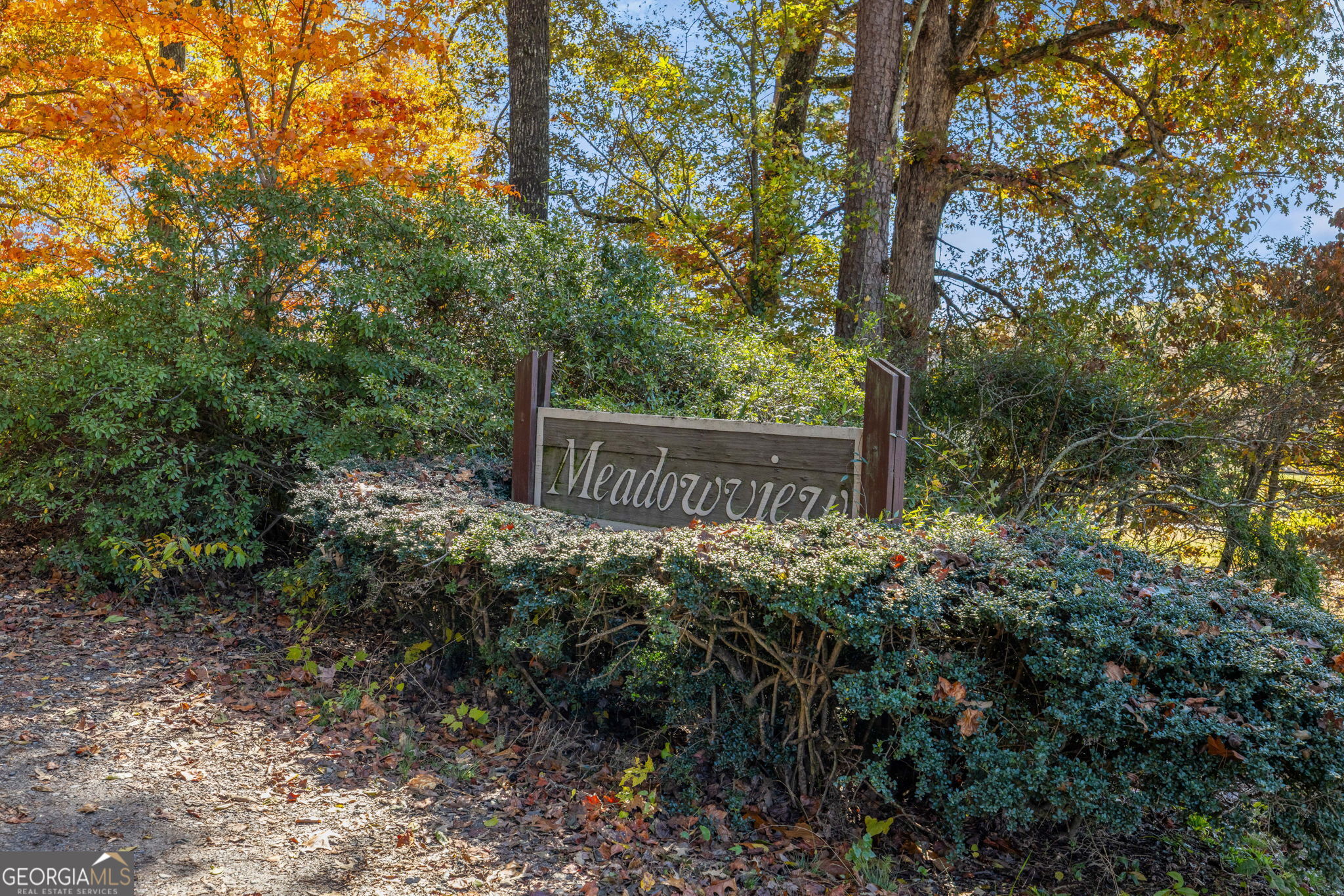 1010 Meadowview Ridge Property Photo 50