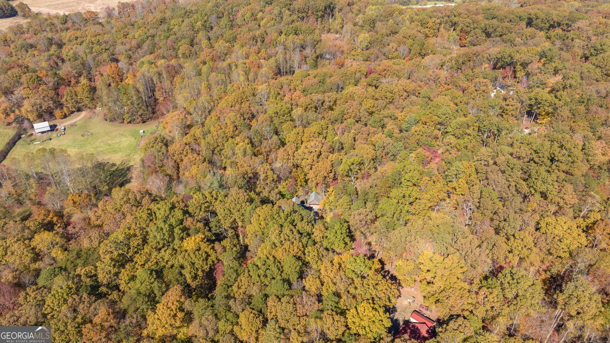 1010 Meadowview Ridge Property Photo 52