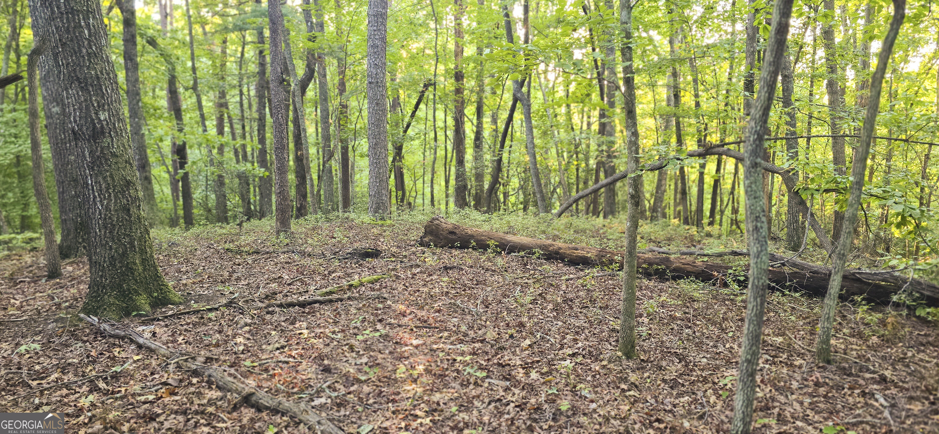 LOT 20 Seye Wailo Trail