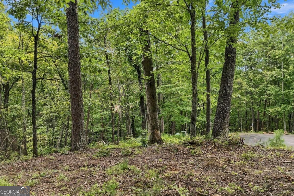 3 Turkey Spur Drive Property Photo 8