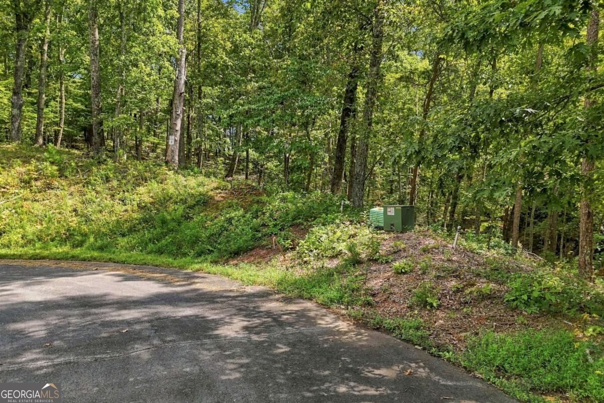 3 Turkey Spur Drive Property Photo 16