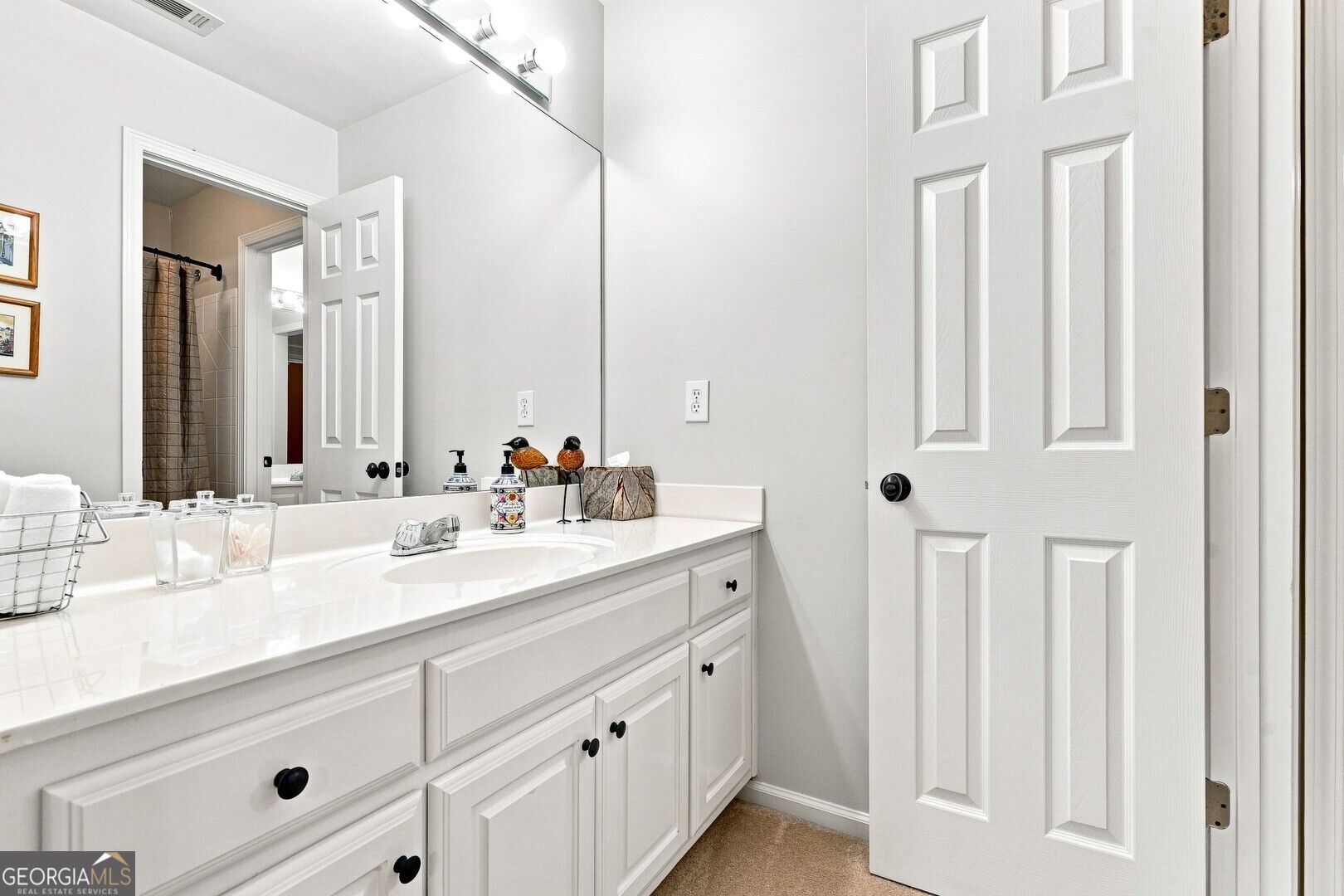 2726 Twin Leaf Trail Property Photo 83
