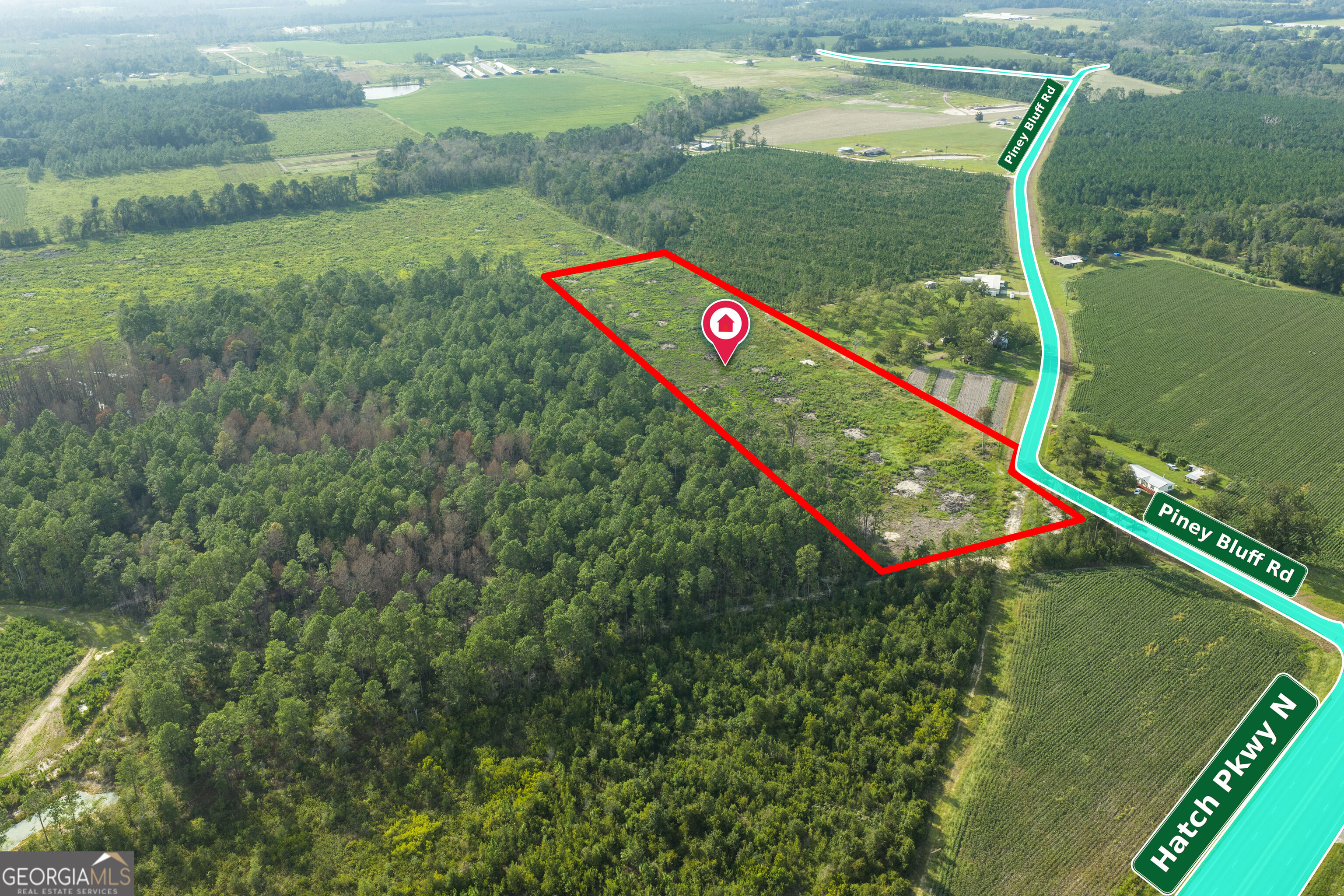 0 Piney Bluff Road Property Photo 1