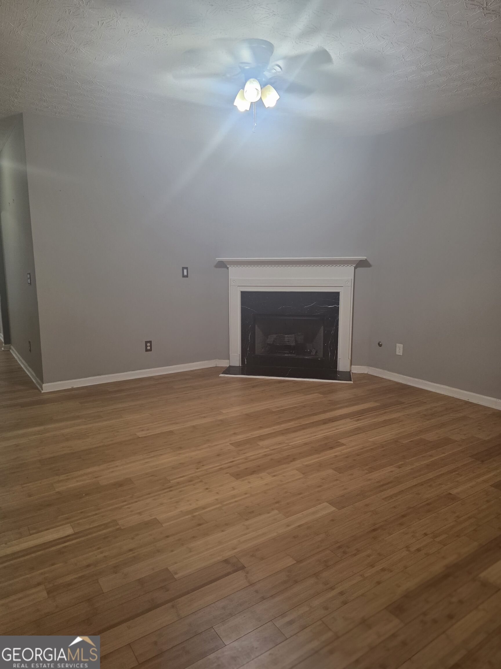 2875 Snapfinger Manor Property Photo 4
