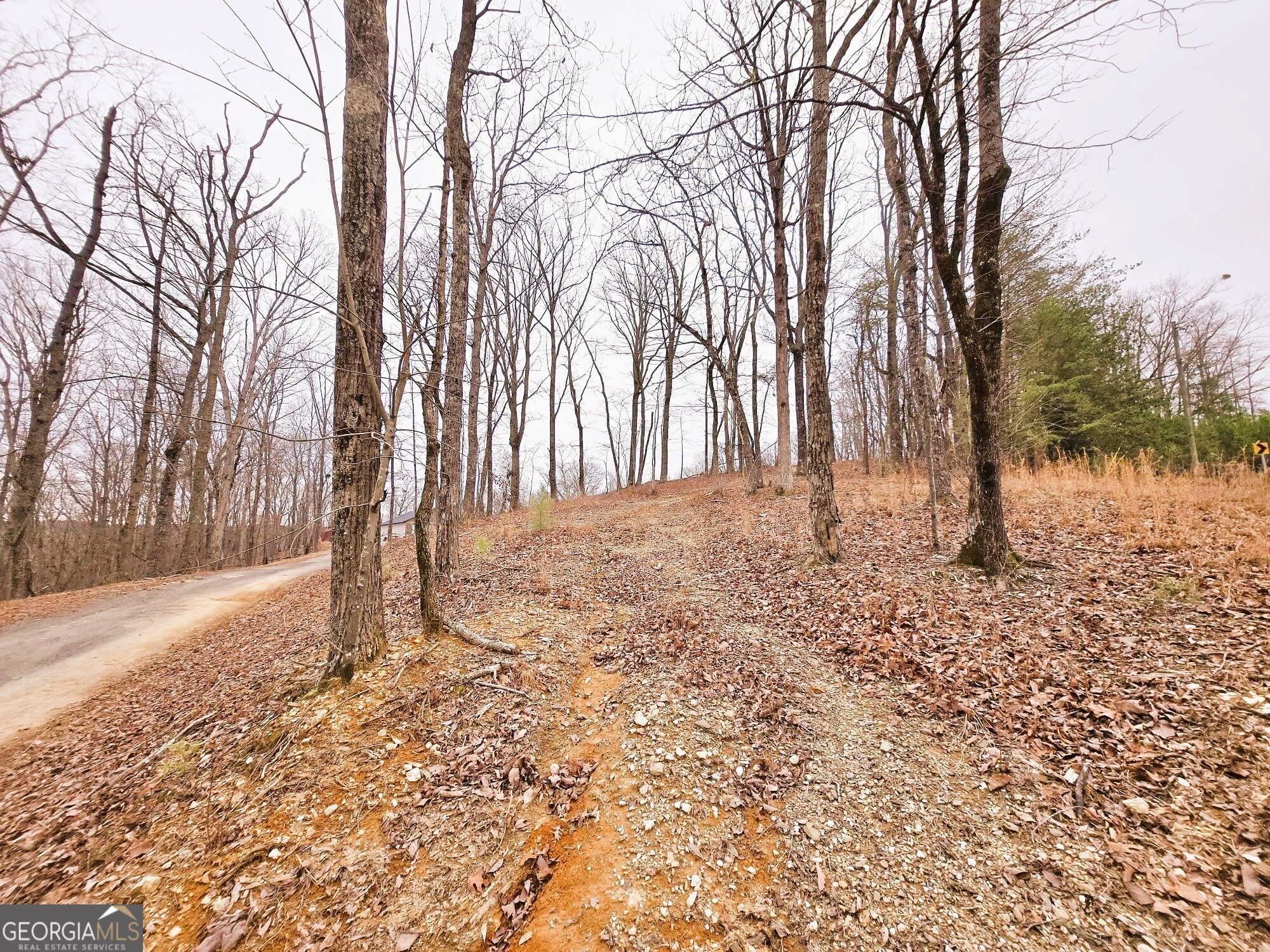 1344 Brushy Mountain Road Property Photo 4