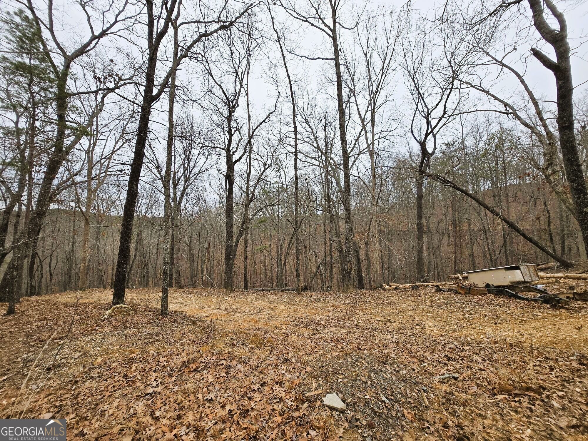 1344 Brushy Mountain Road Property Photo 5