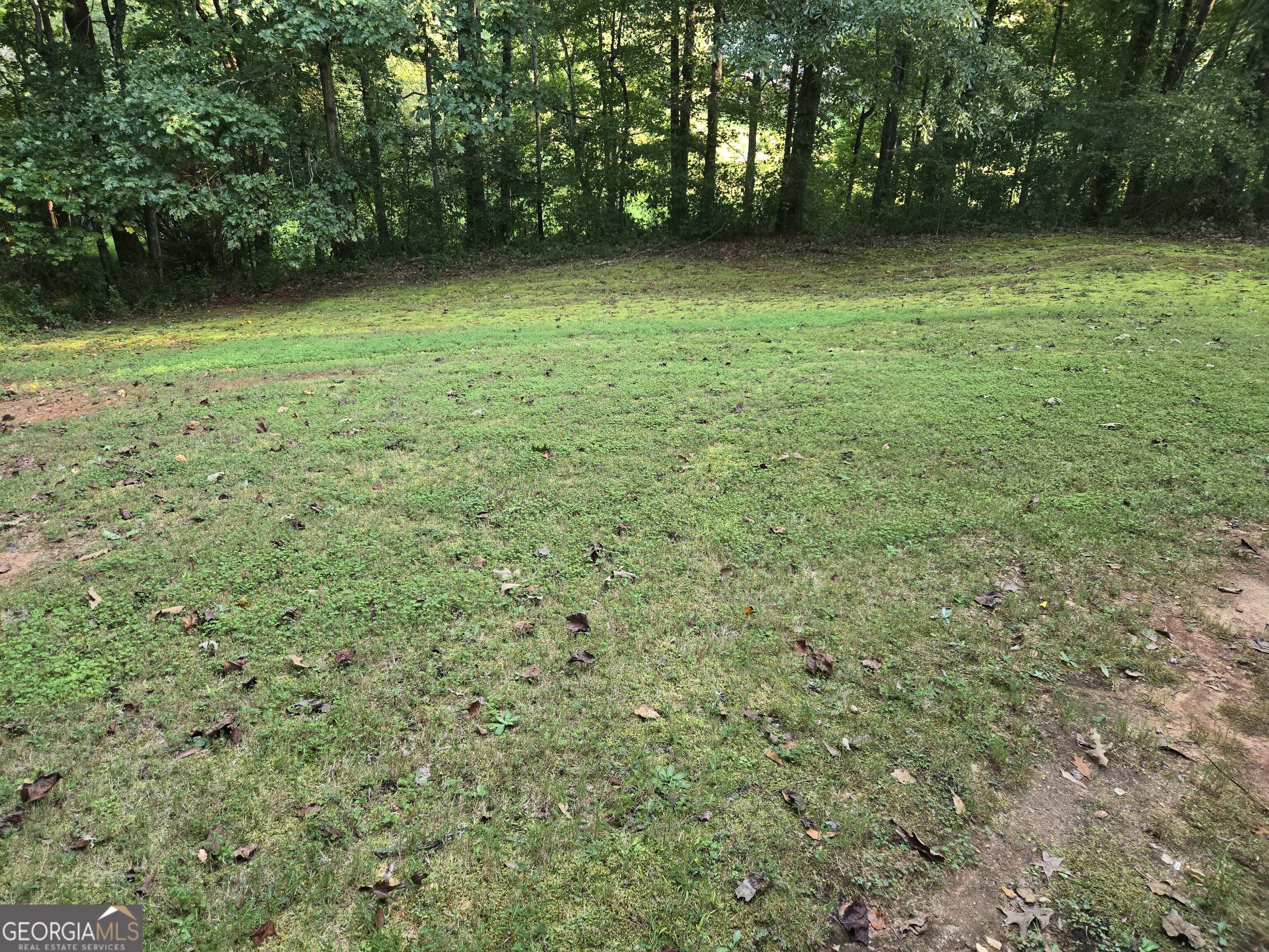 4809 Cedar Lake Drive Property Photo 2