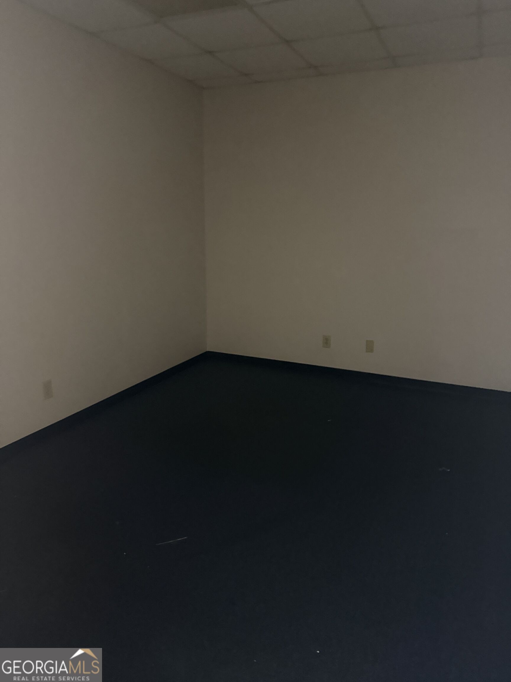 1574 Williamson Road Property Photo 14