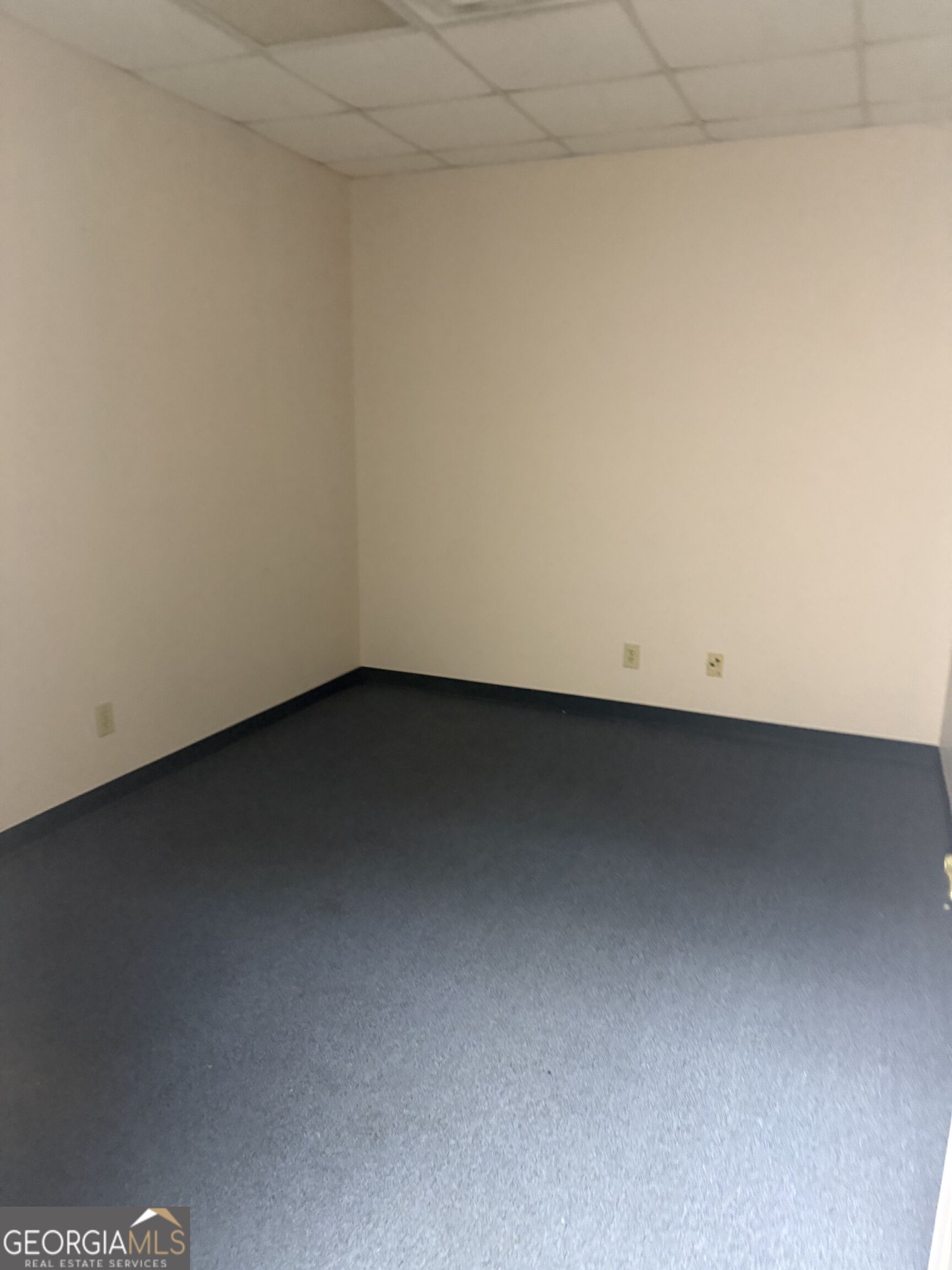 1574 Williamson Road Property Photo 15