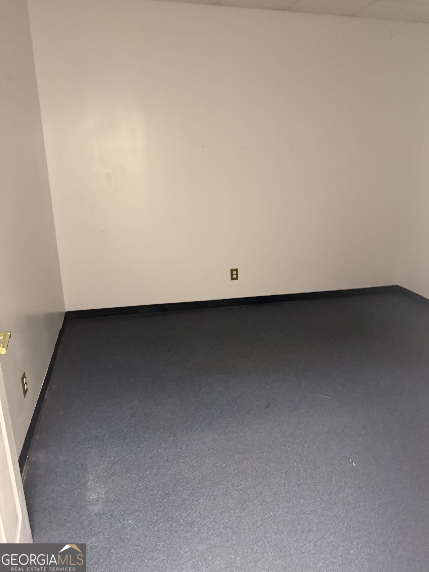 1574 Williamson Road Property Photo 19