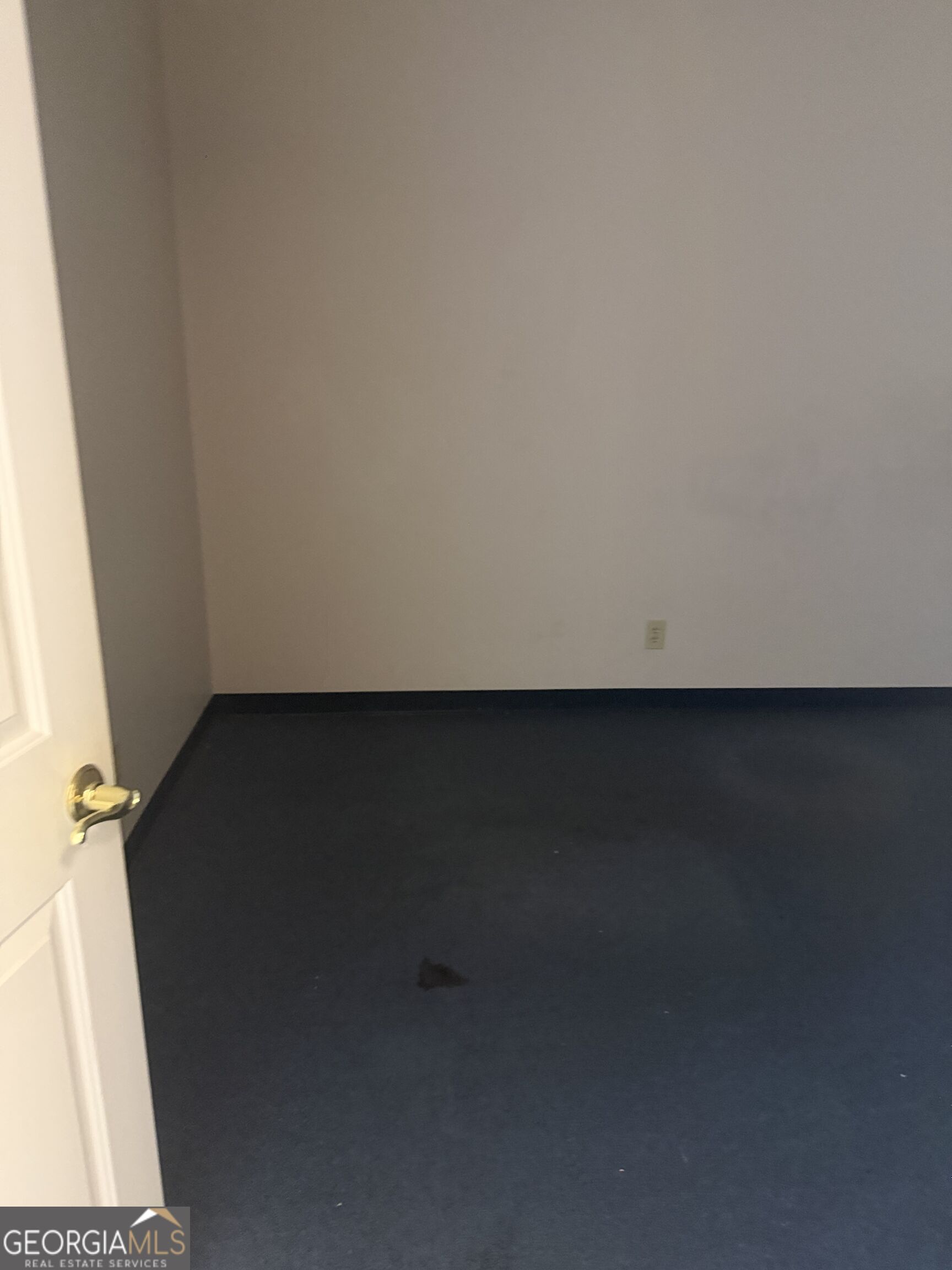 1574 Williamson Road Property Photo 42