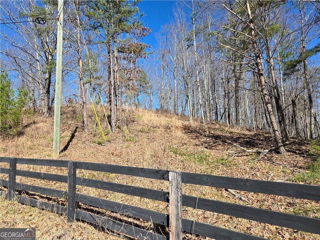 0 Brushy Mountain Road Property Photo 3