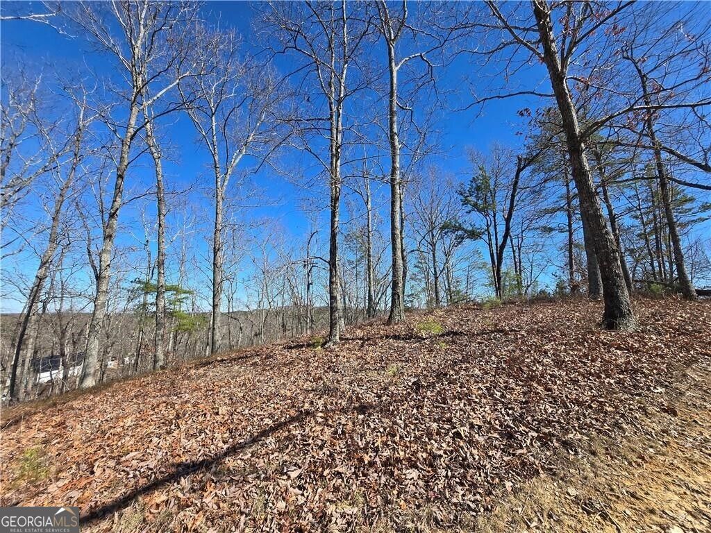 0 Brushy Mountain Road Property Photo 7
