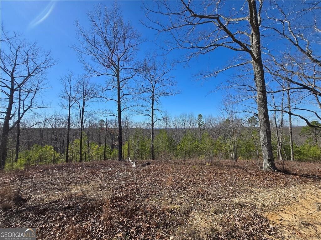 0 Brushy Mountain Road Property Photo 8