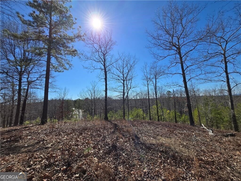 0 Brushy Mountain Road Property Photo 9