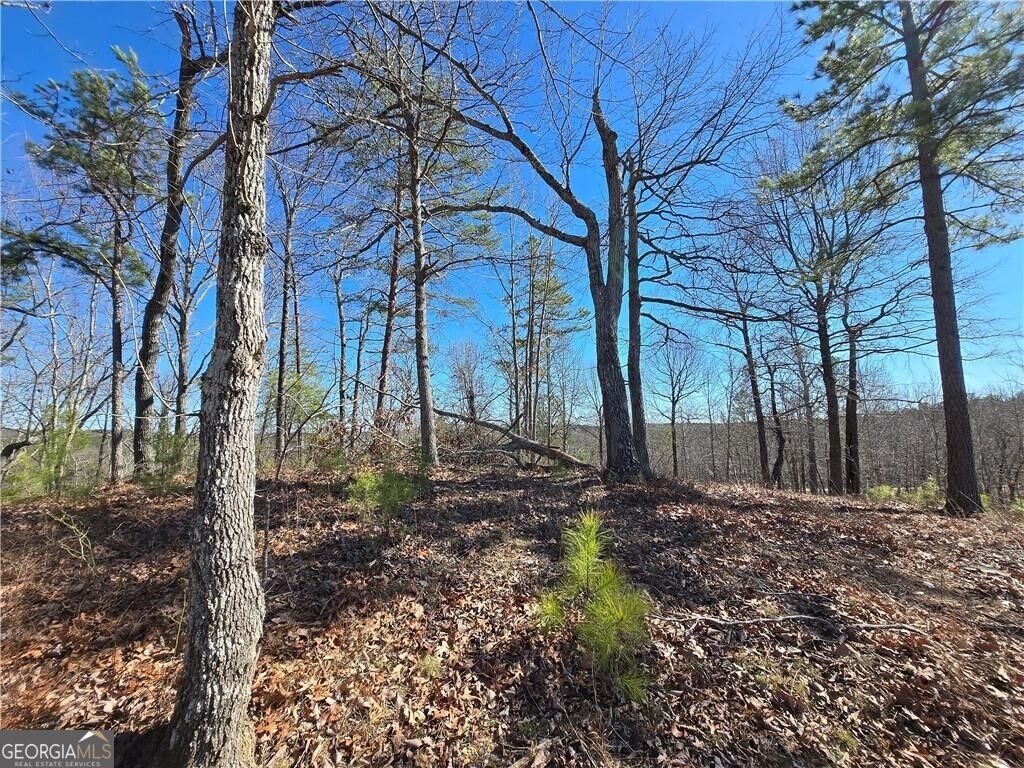 0 Brushy Mountain Road Property Photo 10