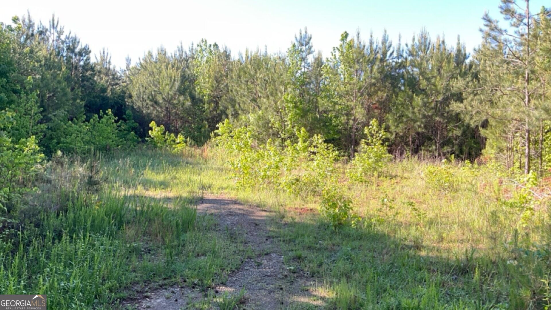 927 Candy Kitchen Road Property Photo 2
