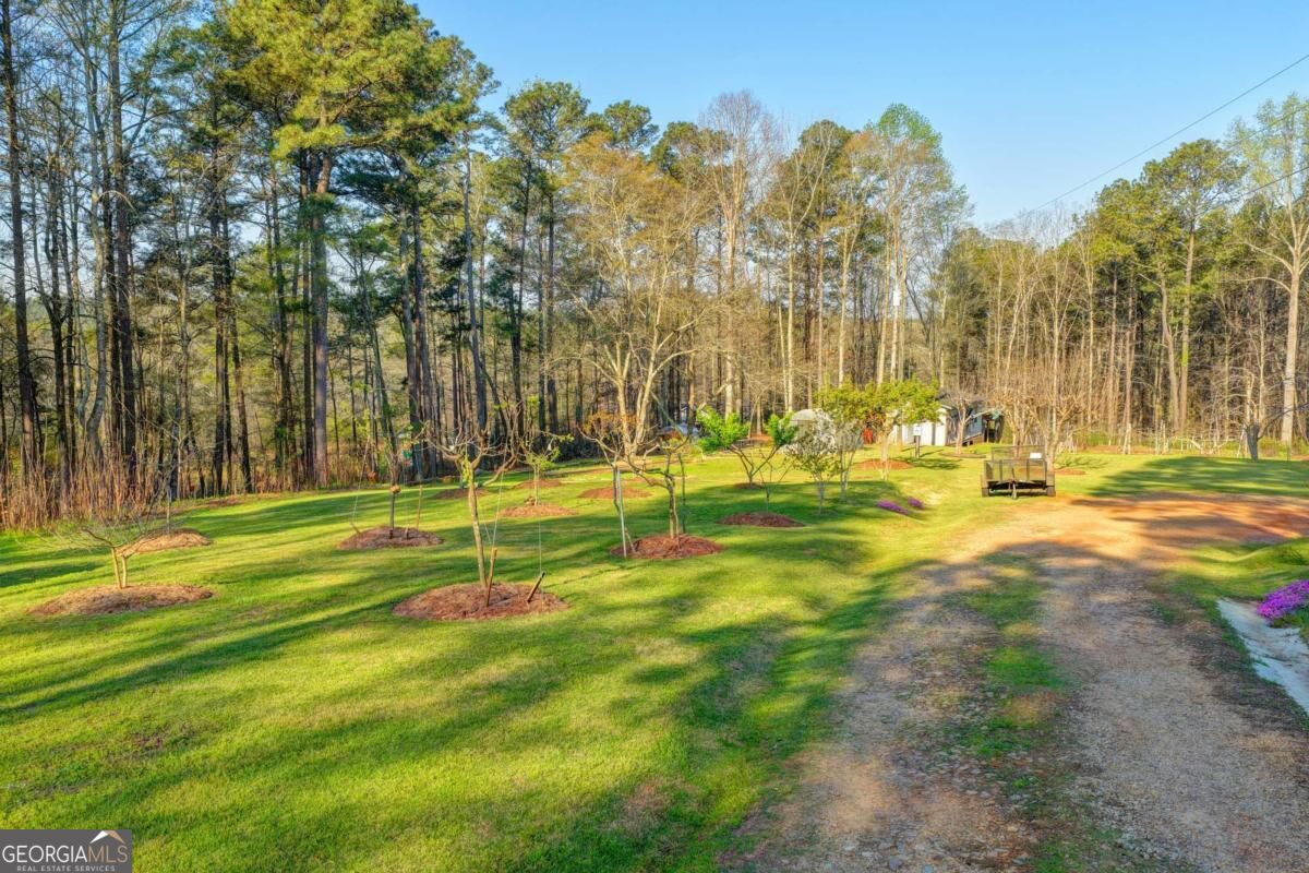 553 Appalachee Ridge Road Property Photo 75