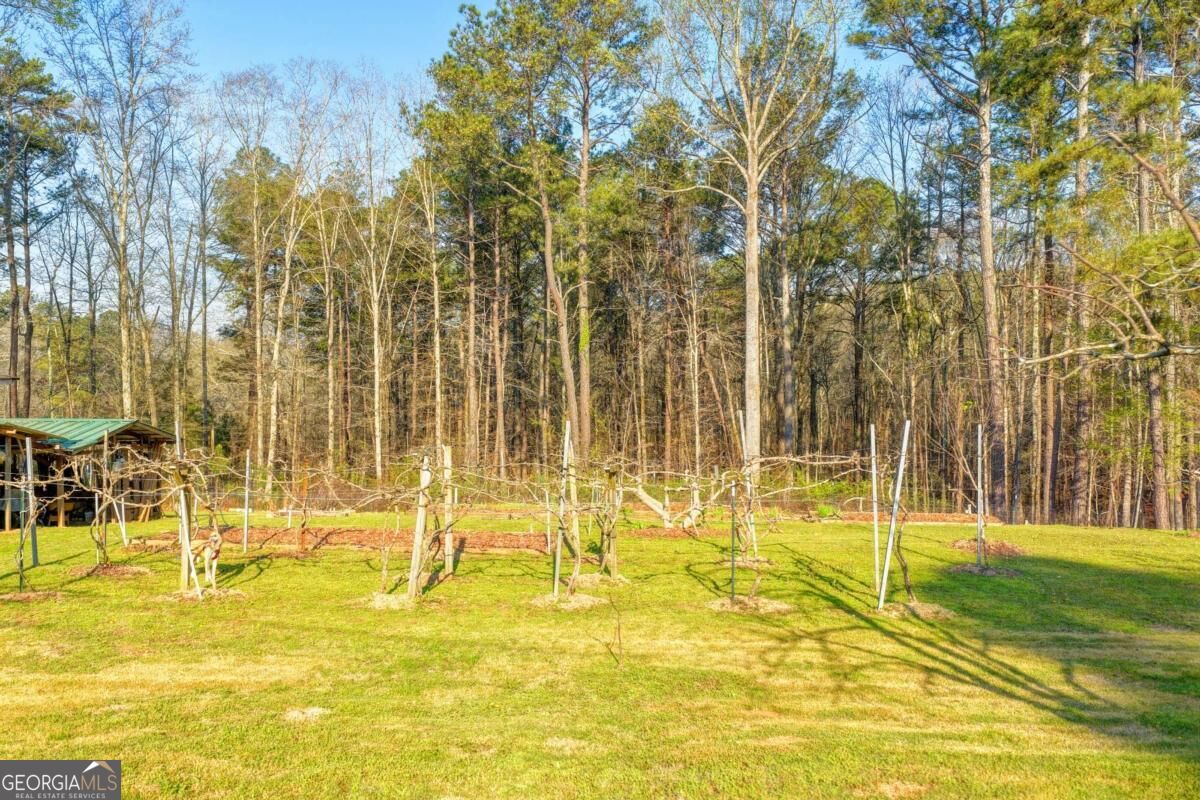 553 Appalachee Ridge Road Property Photo 79