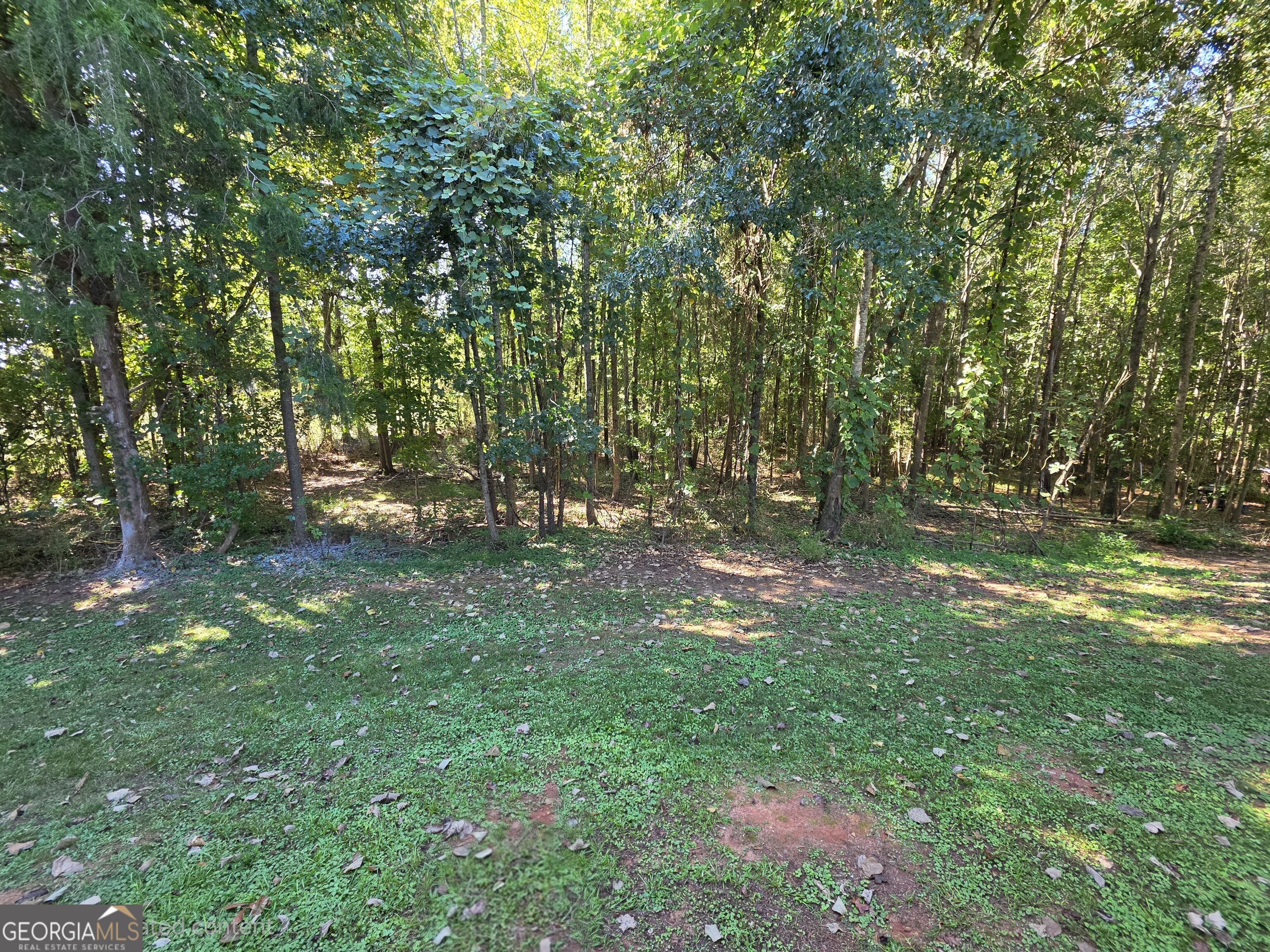 1071 County Road 491 Property Photo 22
