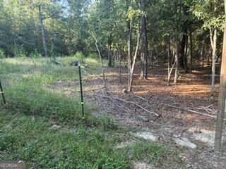 1920 Hwy 18 E Property Photo 19