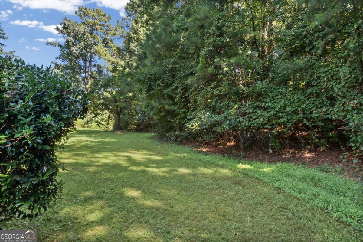 408 Castle Rock Property Photo 48