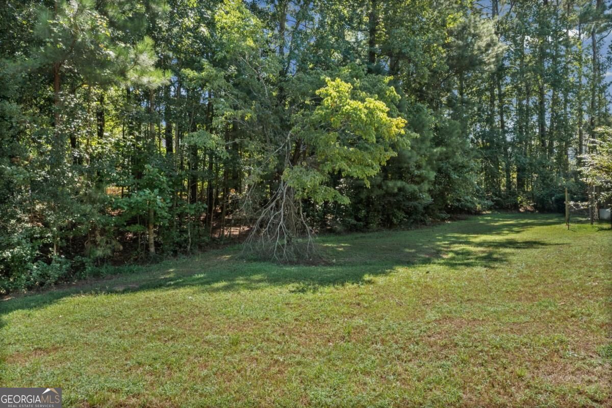 408 Castle Rock Property Photo 49
