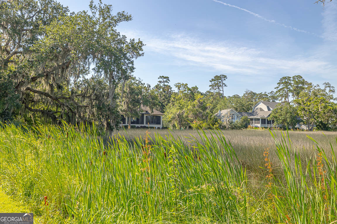 135 Rice Mill Property Photo 48