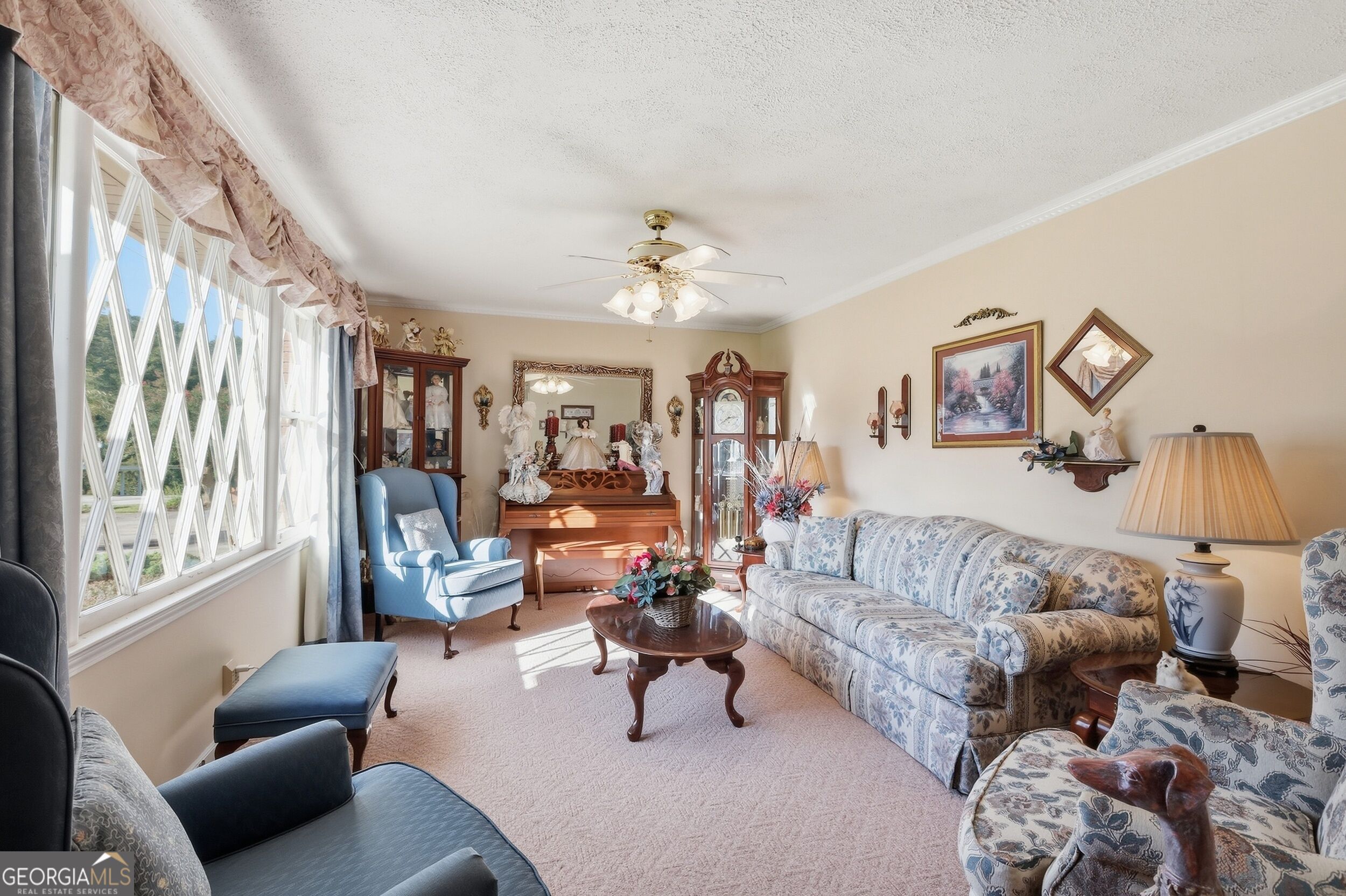 49 Jones Street Property Photo 3