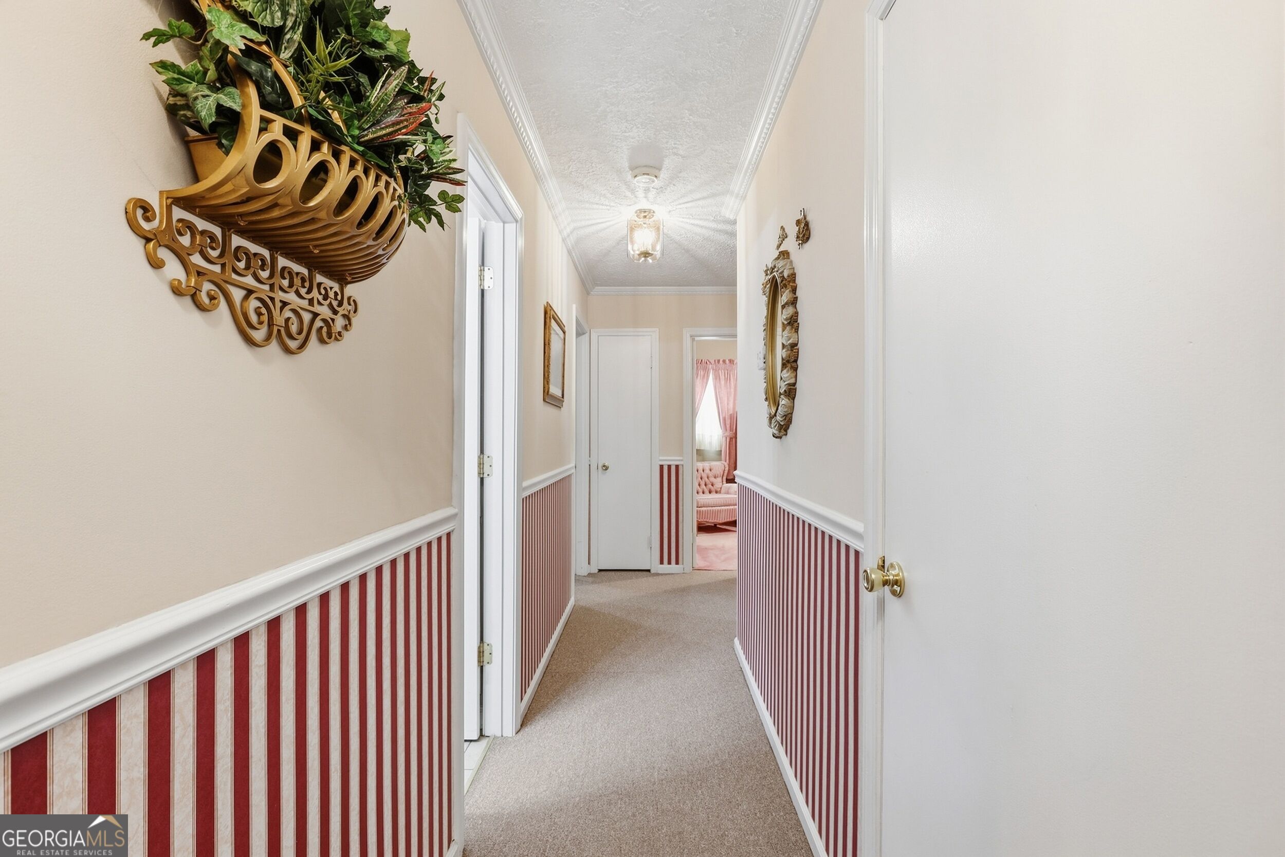 49 Jones Street Property Photo 14