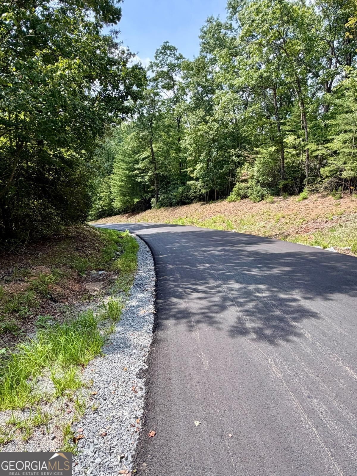 Lot 1 S Blue Horizon Drive Property Photo 1