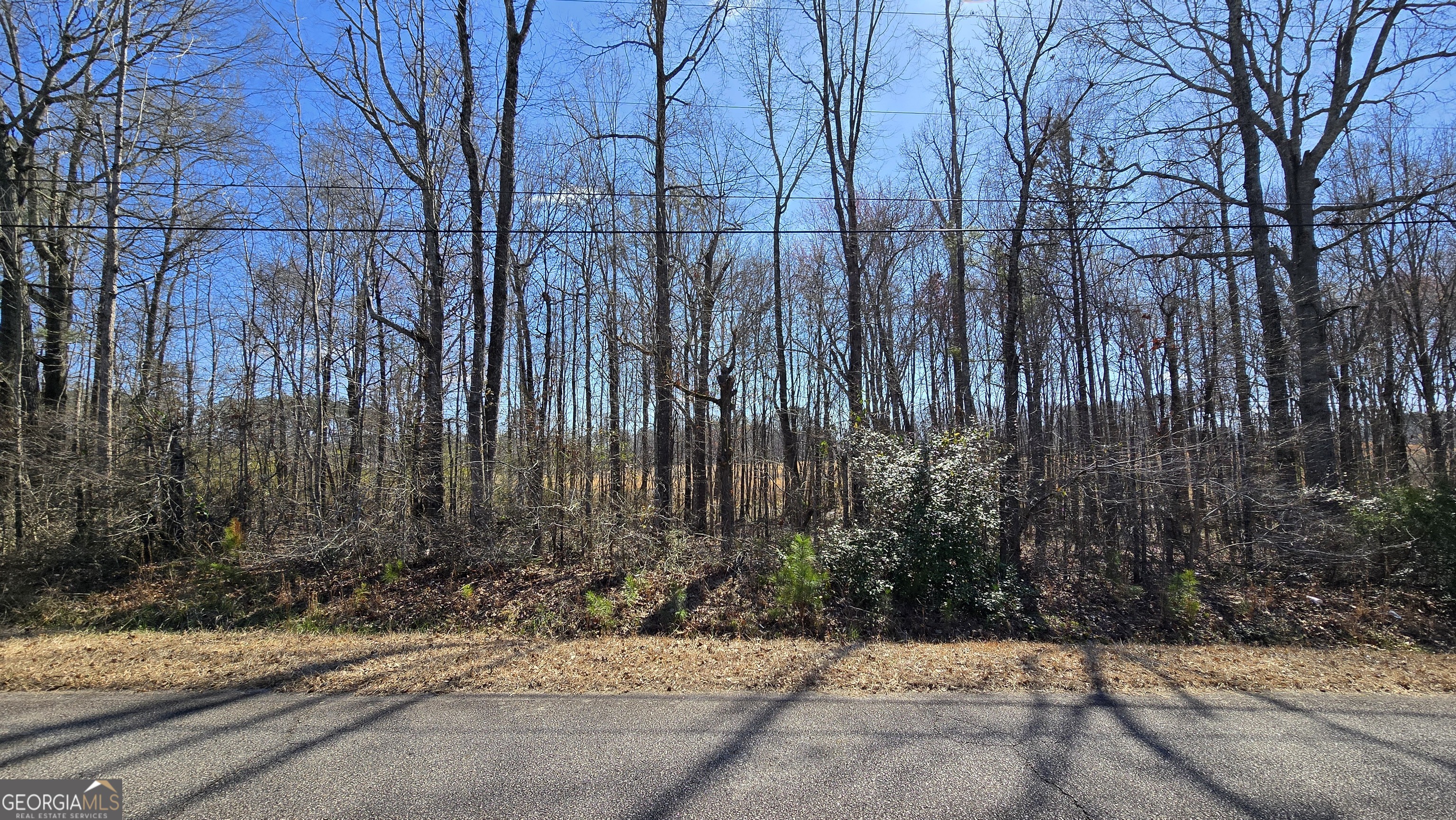 1108 Spring Creek Circle Property Photo 1